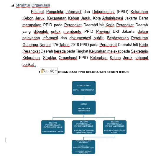 PPID Struktur Organisasi